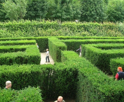 The inside of the Maze & Labyrinth at Schönbrunn Palace featuring winding hedgerows, playful paths, and hidden corners, offering a fun challenge for visitors of all ages.