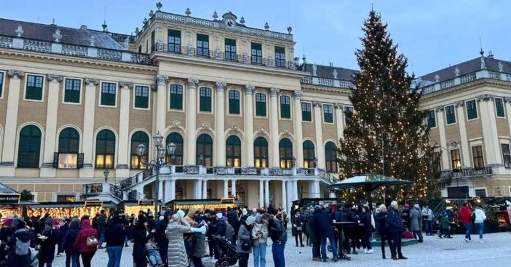 Crowds gather at Schönbrunn Palace Christmas market with a large tree.