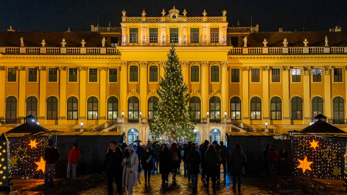 Christmas market and decorated tree at Schönbrunn Palace at night.